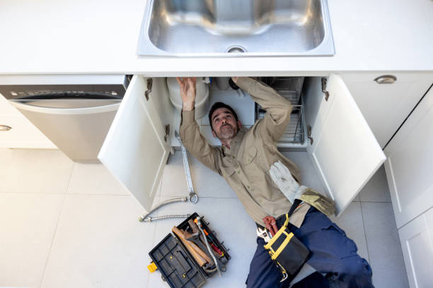 Best Plumbing System Maintenance  in Dulce, NM